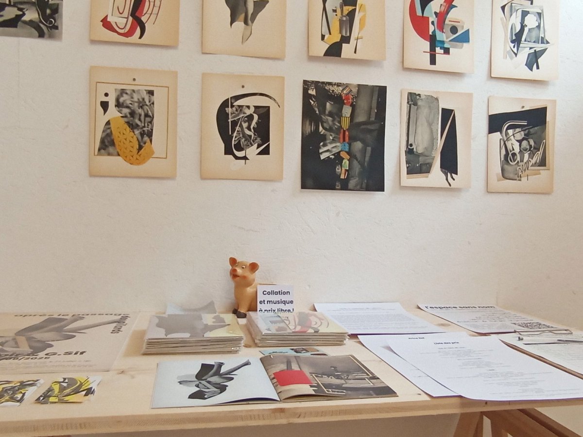 image de l'exposition « Après le passage des pillards »  de Bill Noir et Guillaume Siffert à l'espace sans nom