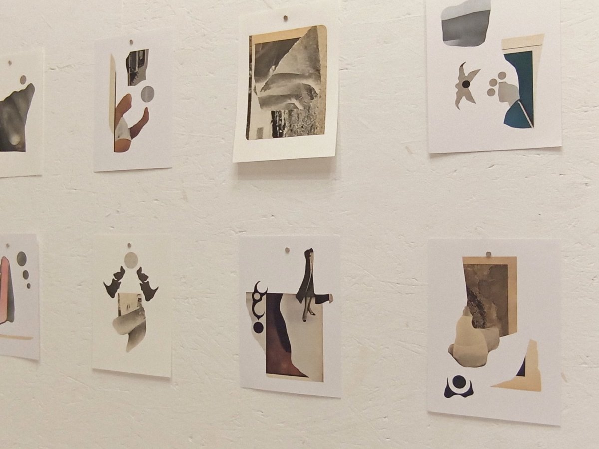 image de l'exposition « Après le passage des pillards »  de Bill Noir et Guillaume Siffert à l'espace sans nom
