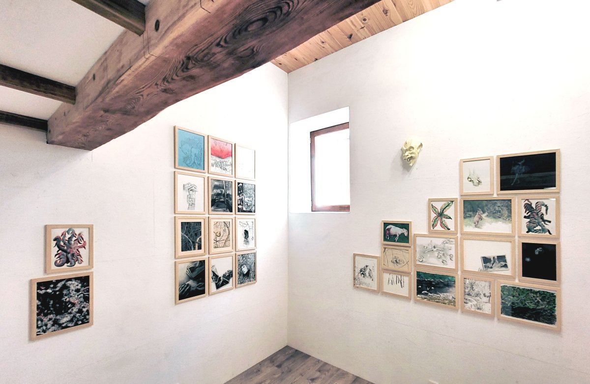 image de l'exposition « Essens locales » du collectif Super Issue