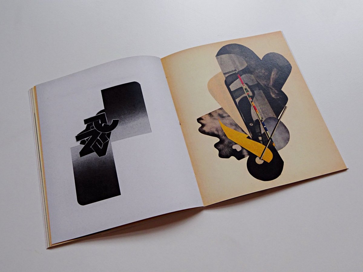 image du livre «&nbsp;Après le passage des pillards »