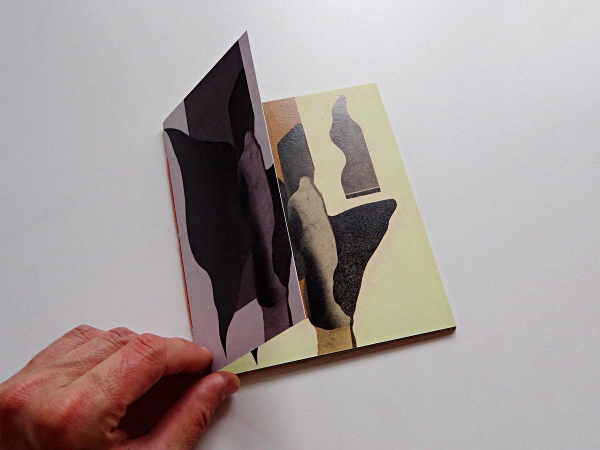 image du livre «&nbsp;Après le passage des pillards »