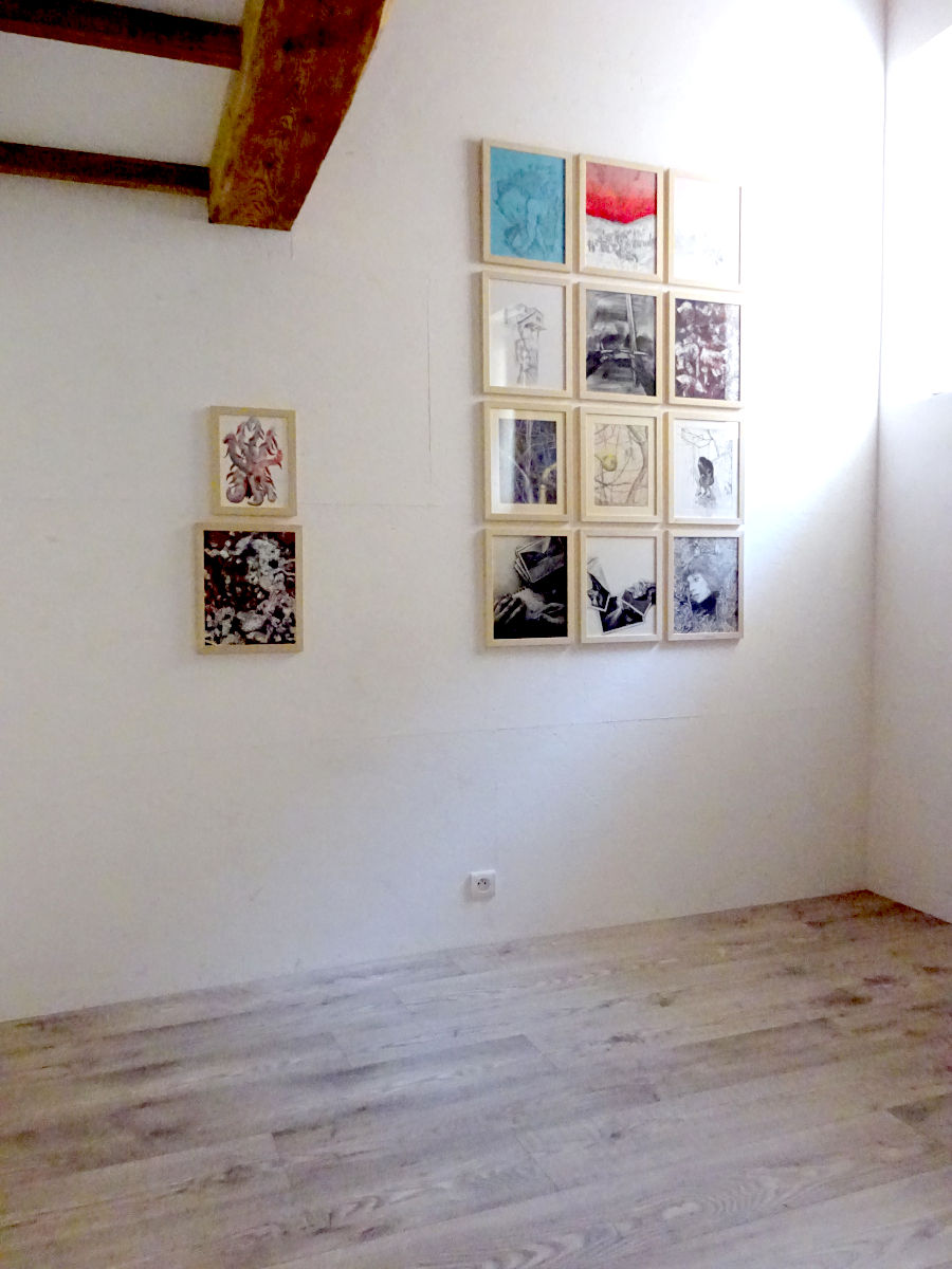 image de l'exposition « Essences locales »  du collectif Super Issue à l'espace sans nom