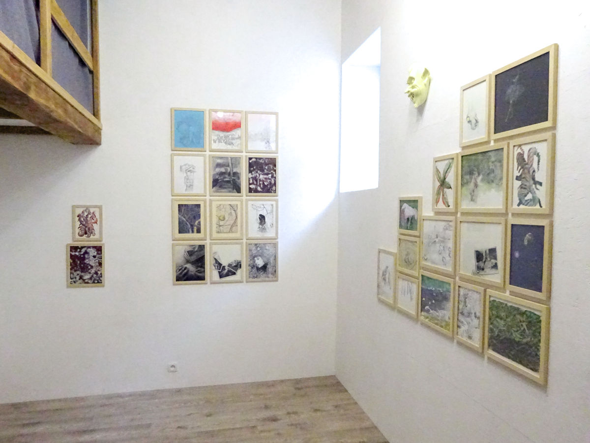 image de l'exposition « Essences locales »  du collectif Super Issue à l'espace sans nom