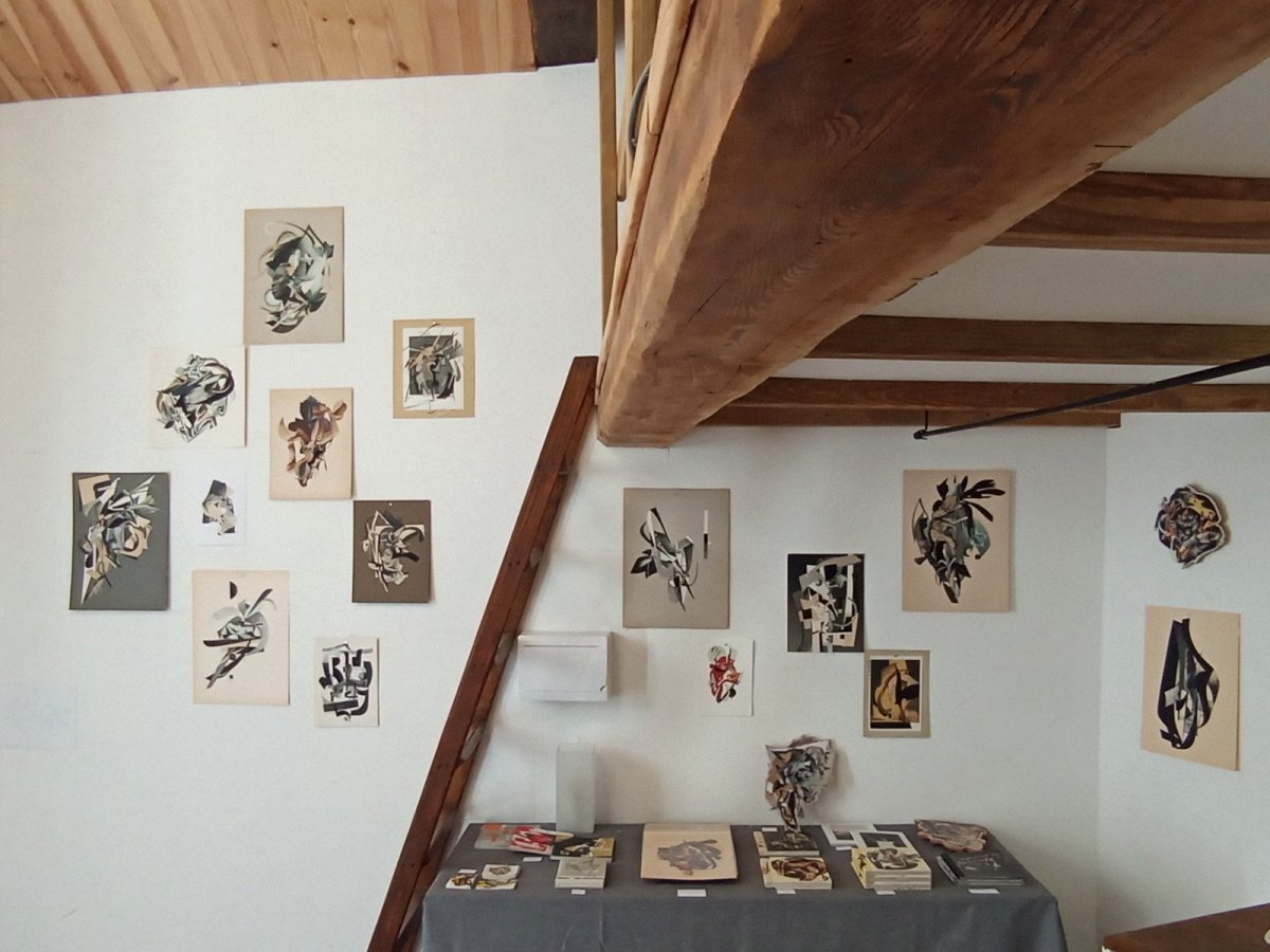 image de l'exposition « Après le passage des pillards »  de Bill Noir et Guillaume Siffert à l'espace sans nom